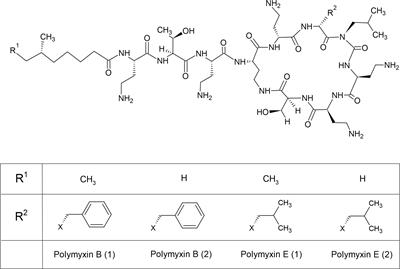 An Update of Mobile Colistin Resistance in Non-Fermentative Gram-Negative Bacilli